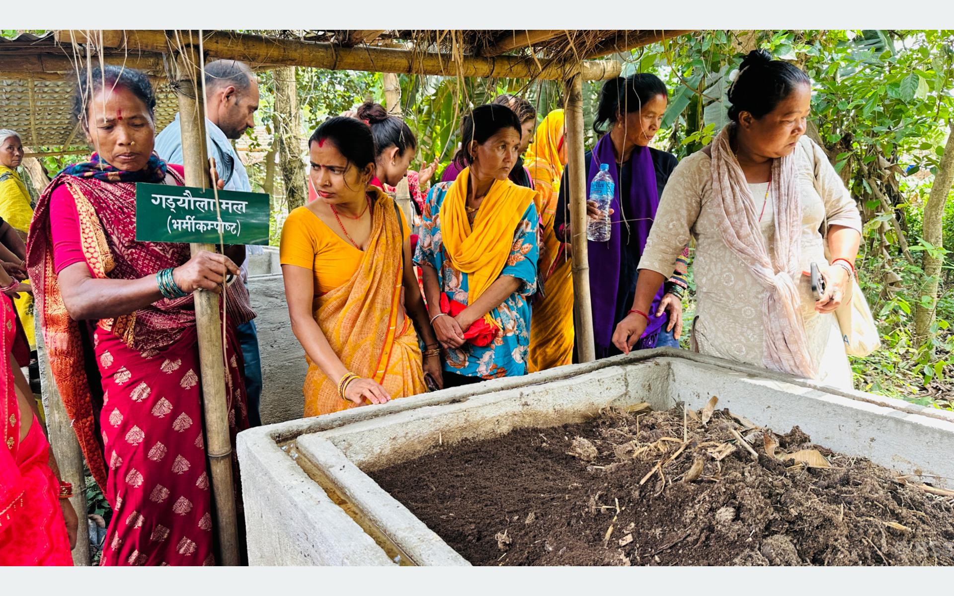 रासायनिक मललाई प्रतिस्थापन गर्दै गँड्यौला मल